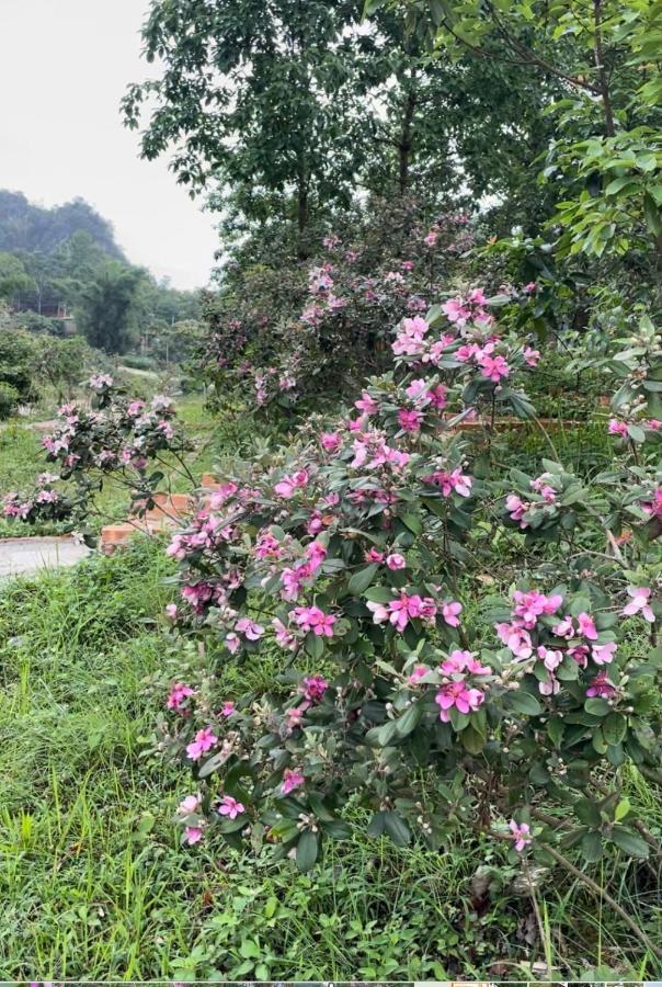 Riverside Homestay Cao Bang Zewnętrze zdjęcie